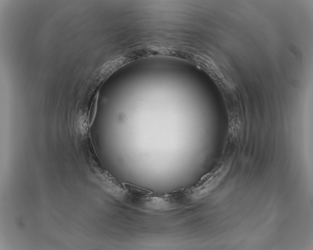 X0000112540285200908171449