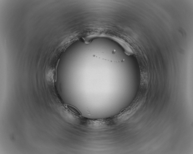 X0000112540286200908171449
