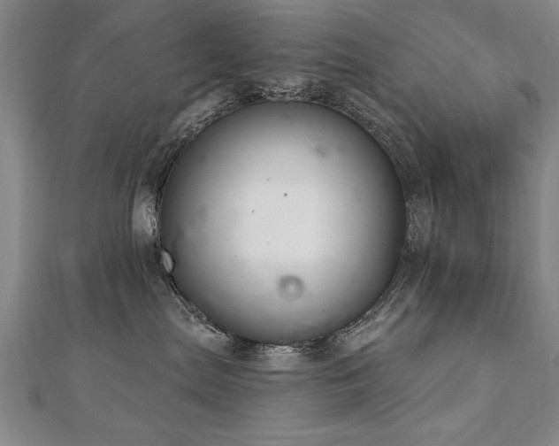 X0000112540287200908171449