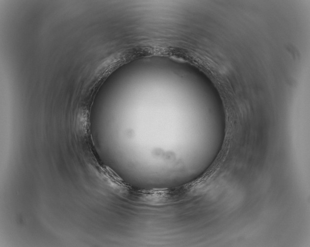 X0000112540288200908171449
