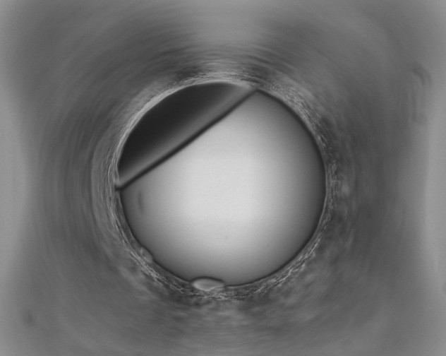 X0000112540289200908171448