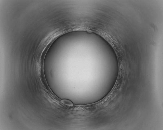 X0000112540290200908171448