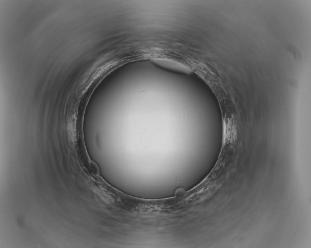 X0000112540291200908171448
