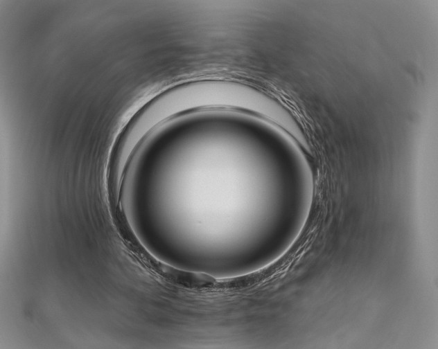 X0000112540292200908171448