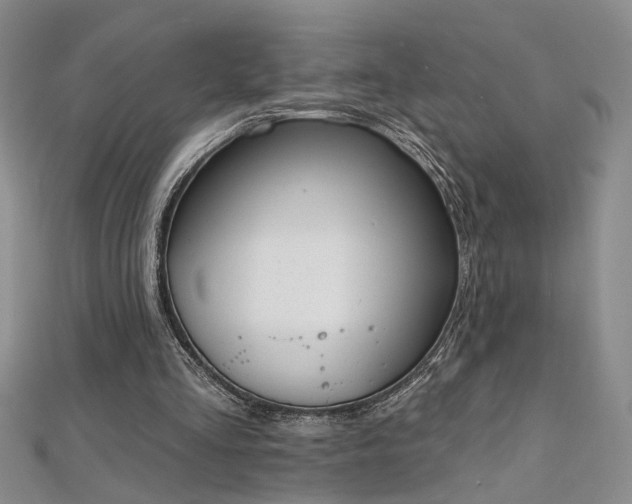X0000112540293200908171448