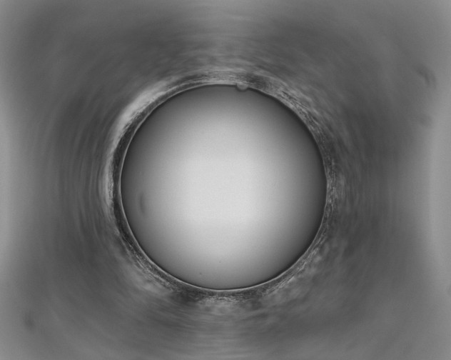X0000112540294200908171448