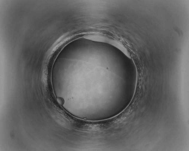 X0000112540295200908171448