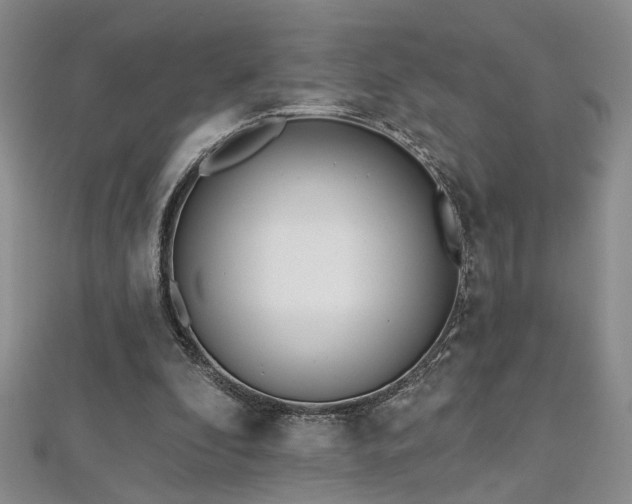 X0000112540296200908171448