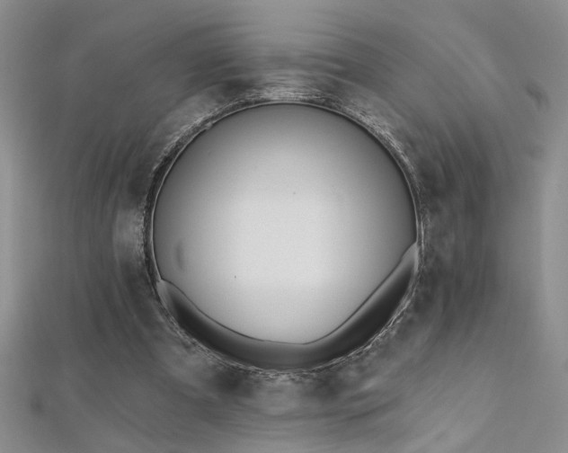 X0000112540297200908171448