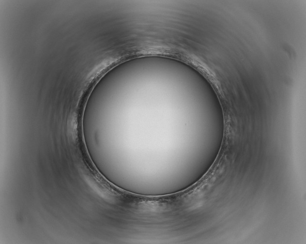 X0000112540298200908171448