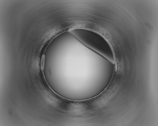 X0000112540300200908171448