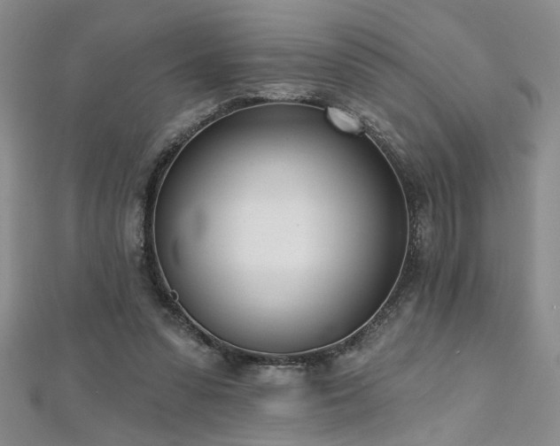 X0000112540303200908171448