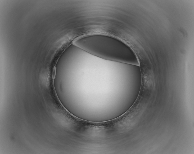 X0000112540304200908171448