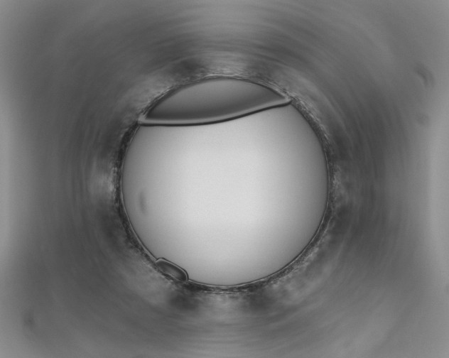 X0000112540305200908171448