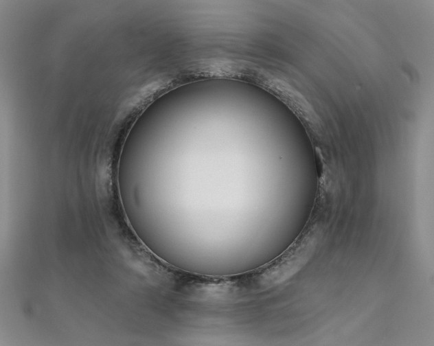 X0000112540306200908171448
