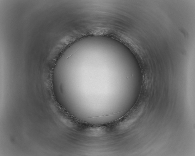X0000112540307200908171448