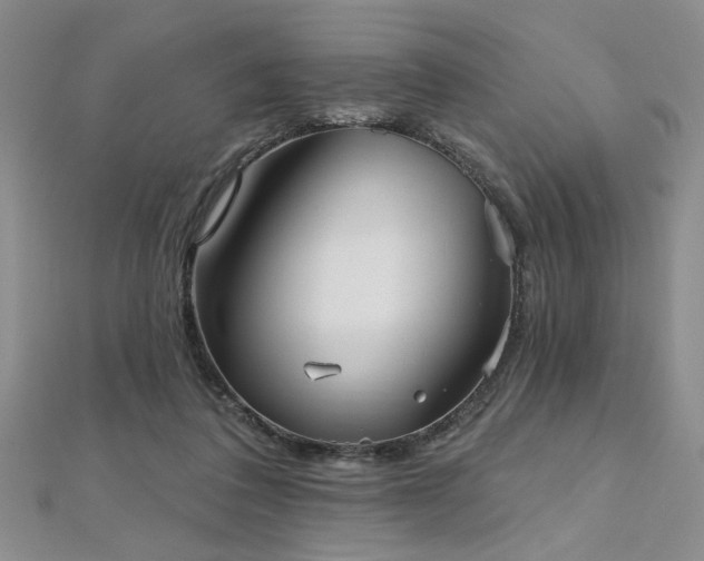 X0000112540308200908171448
