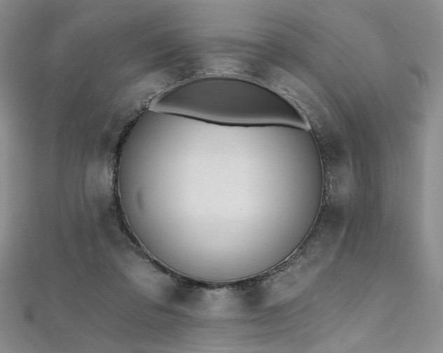 X0000112540309200908171448