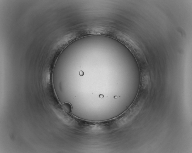 X0000112540310200908171448