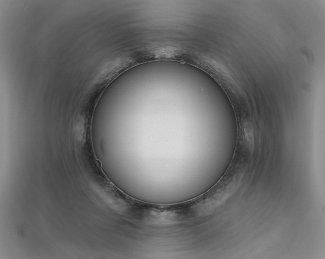 X0000112540311200908171448