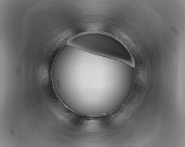 X0000112540312200908171448