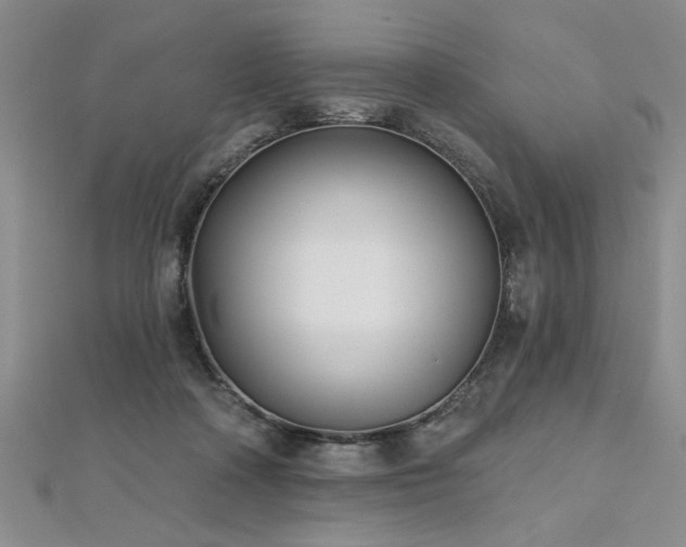 X0000112540314200908171448