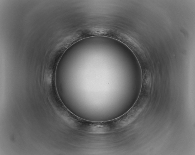 X0000112540315200908171448