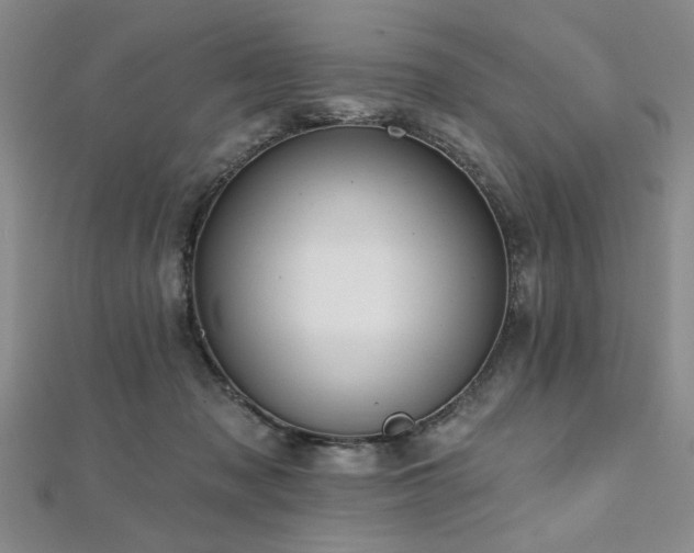X0000112540317200908171448