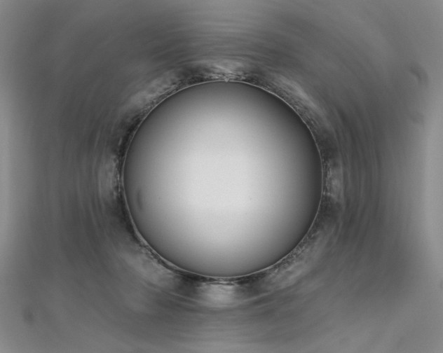 X0000112540318200908171448