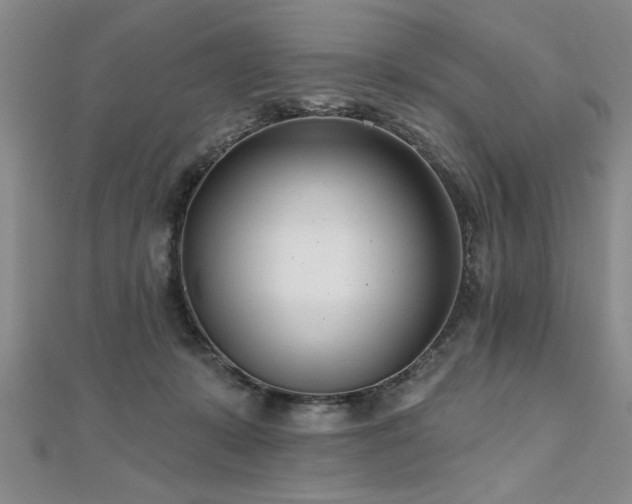 X0000112540319200908171448