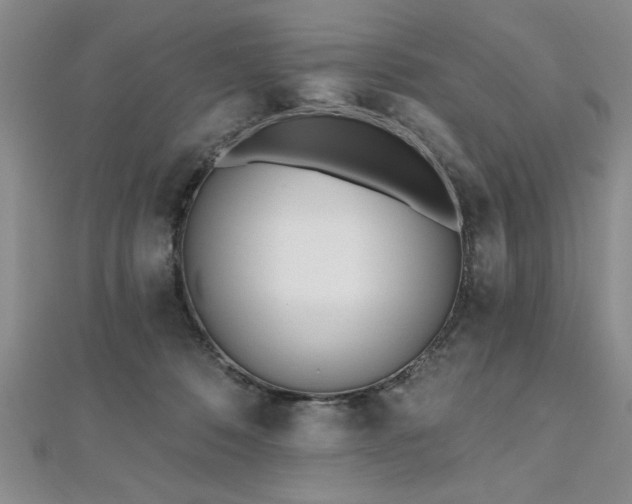 X0000112540320200908171448