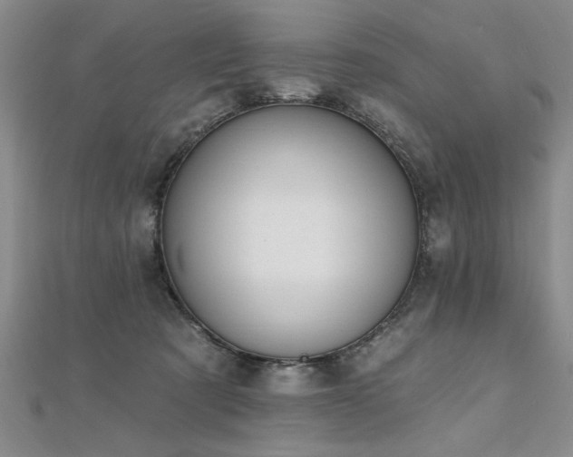 X0000112540321200908171448