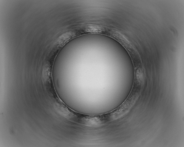 X0000112540322200908171448