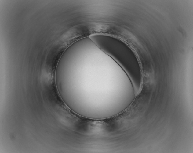 X0000112540324200908171448