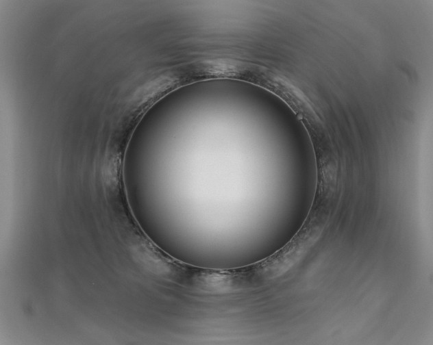 X0000112540325200908171448