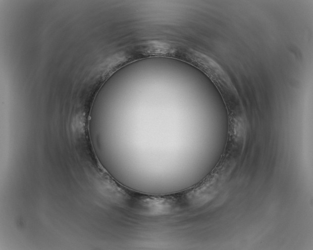 X0000112540326200908171448
