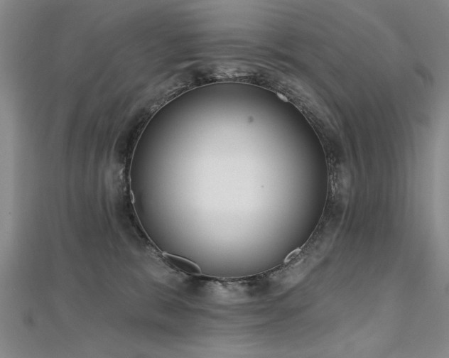 X0000112540327200908171448