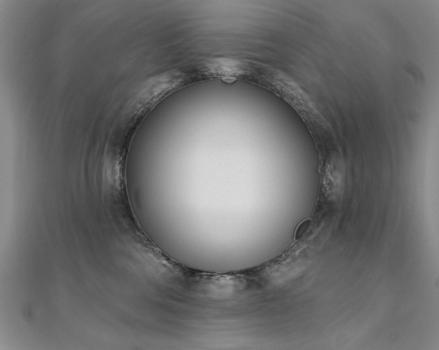 X0000112540330200908171448