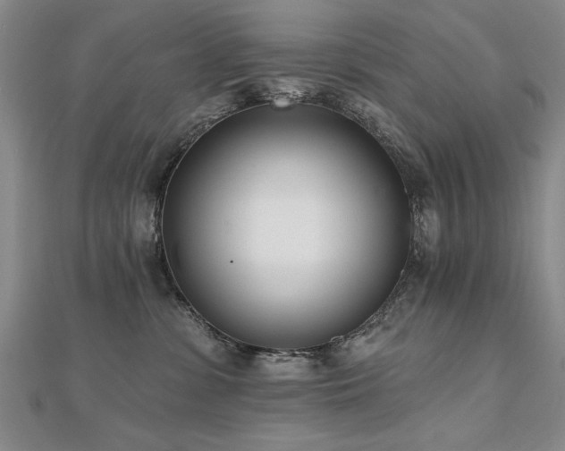 X0000112540331200908171448