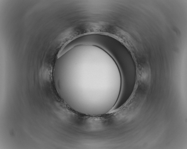X0000112540332200908171448