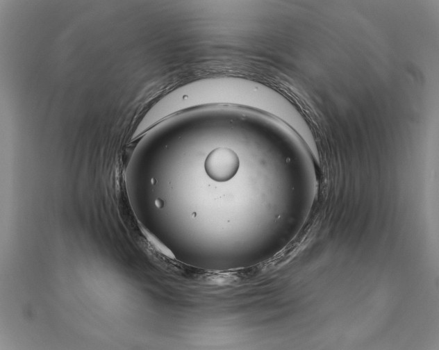 X0000112540333200908171448