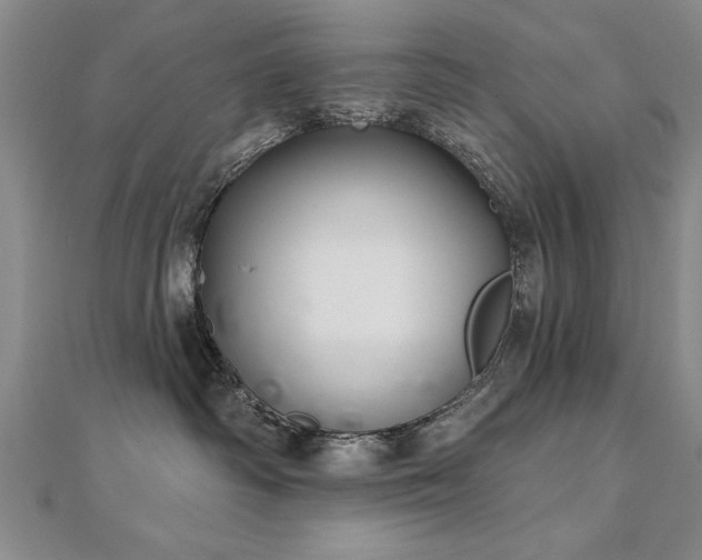 X0000112540334200908171448