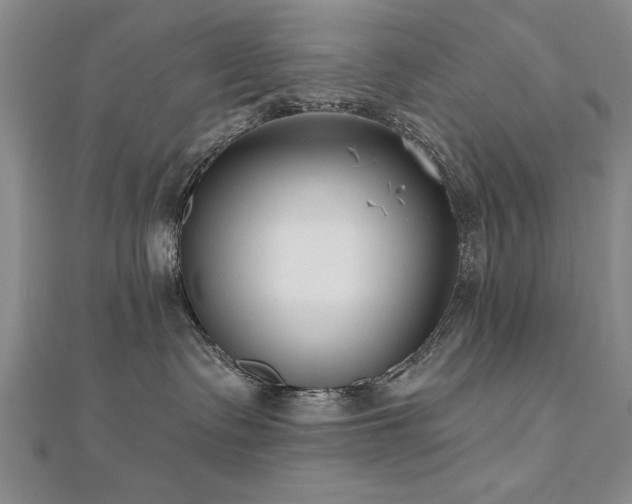 X0000112540335200908171448
