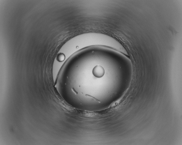 X0000112540336200908171448