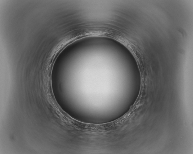 X0000112540337200908171447