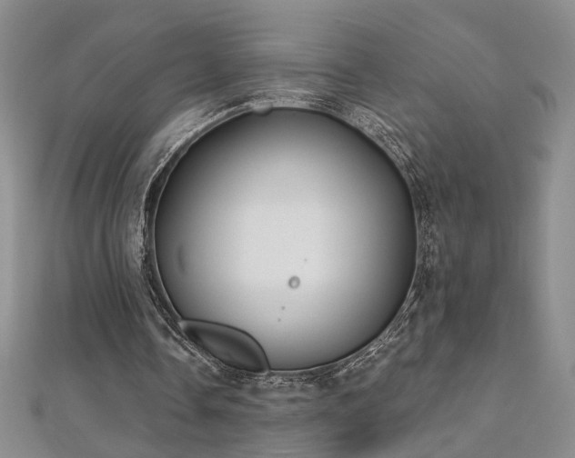 X0000112540338200908171447
