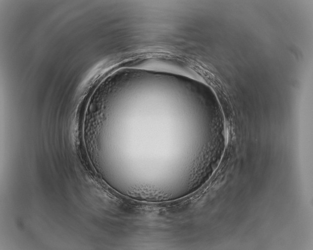 X0000112540339200908171447