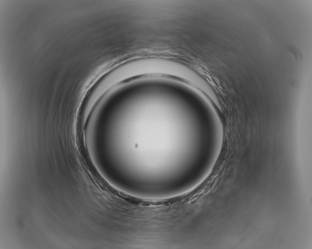X0000112540340200908171447