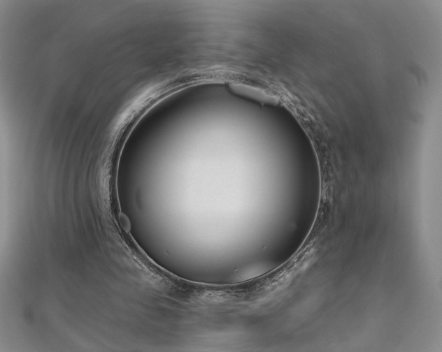 X0000112540341200908171447