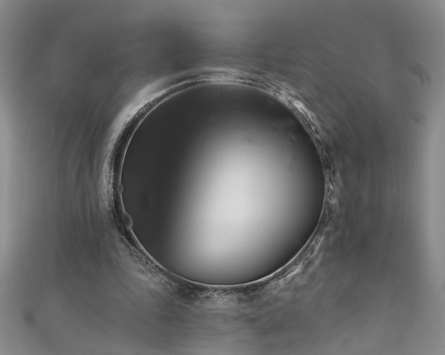X0000112540343200908171447